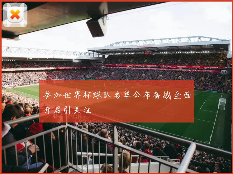 参加世界杯球队名单公布备战全面开启引关注