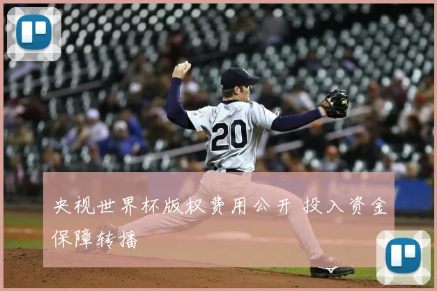 央视世界杯版权费用公开 投入资金保障转播