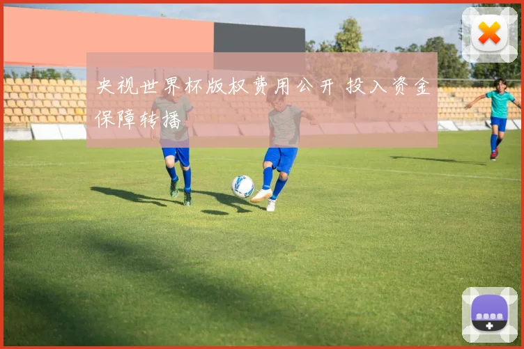 央视世界杯版权费用公开 投入资金保障转播