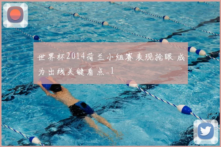 世界杯2014荷兰小组赛表现抢眼 成为出线关键看点_1